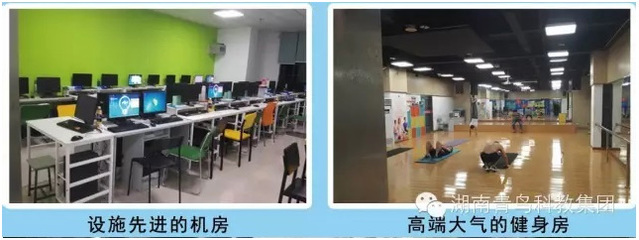 湖南青鸟博宇互联网教育(青鸟科教集团旗下科学城青鸟、青鸟博宇实训、青鸟互联网学院、青鸟软件研发)